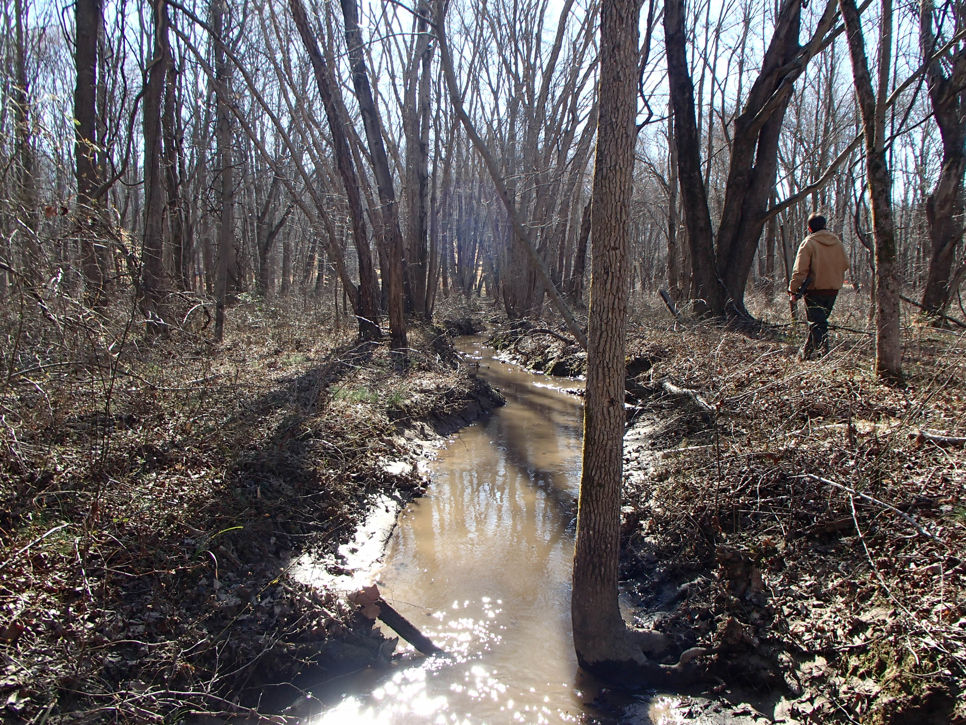 Field photo showing stream conditions at site WEST-104-X-2016_midpoint looking downstream